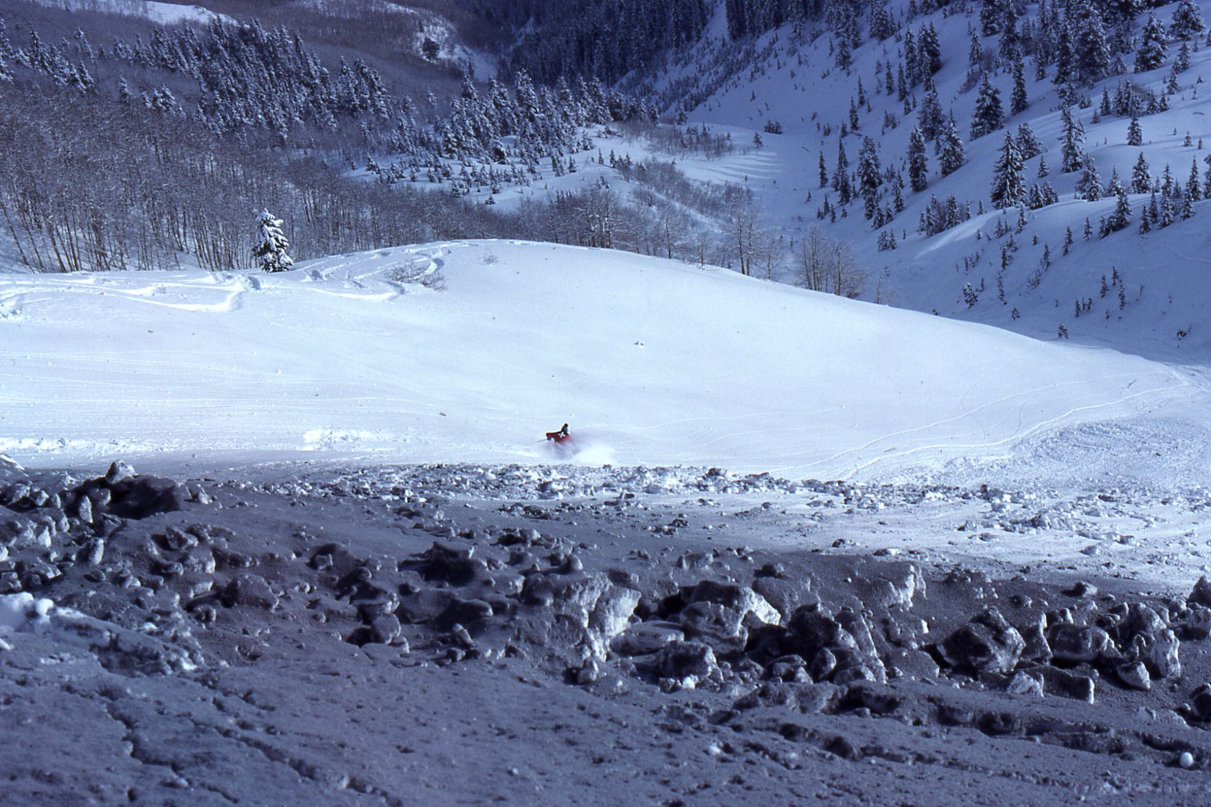 Walsh's 1979
